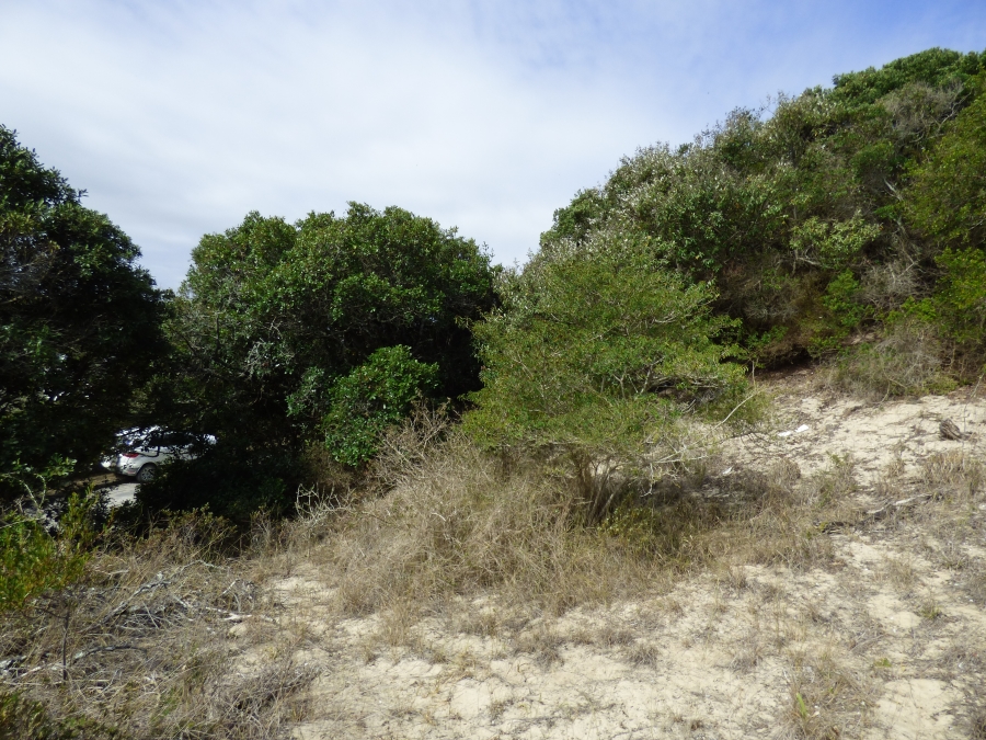 0 Bedroom Property for Sale in West Beach Eastern Cape